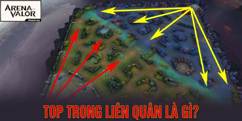 Top Là Gì Trong Liên Quân? Một Vài Thông Tin Liên Quan